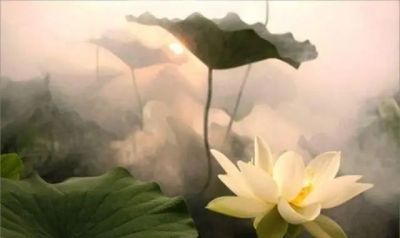 篮球协调训练的有效工具和设备推荐_2